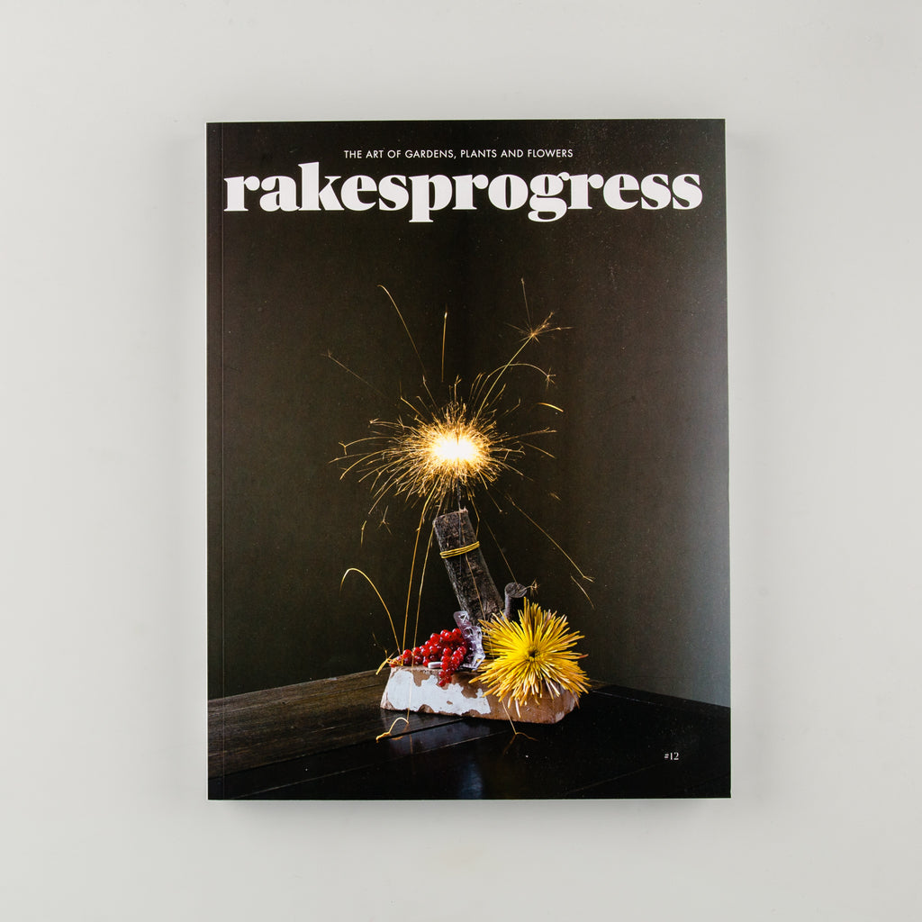 rakesprogress Magazine 12 - 17