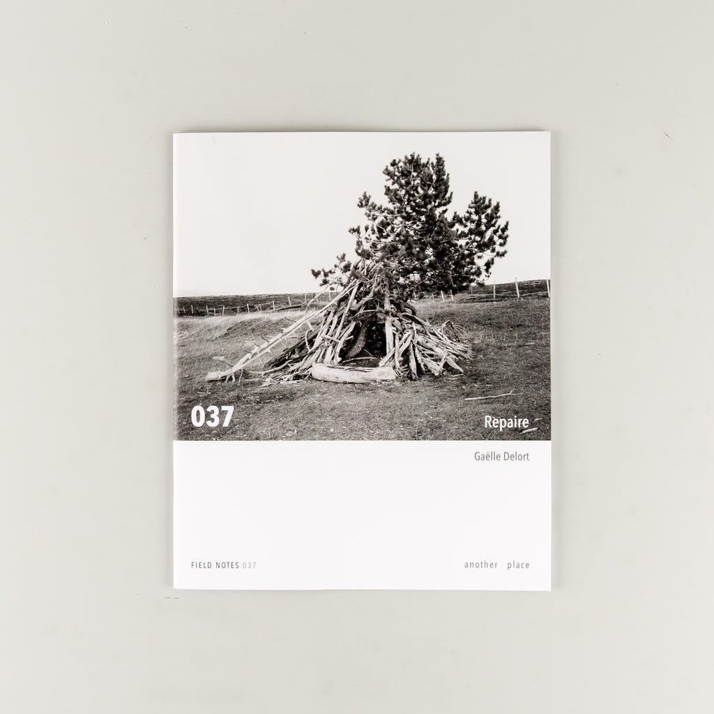 Repaire - Cover