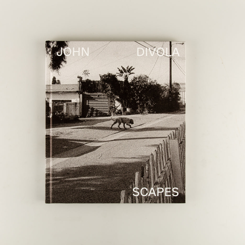 Scapes by John Divola - Cover