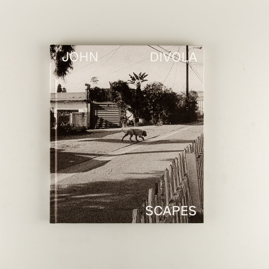 Scapes by John Divola - 13