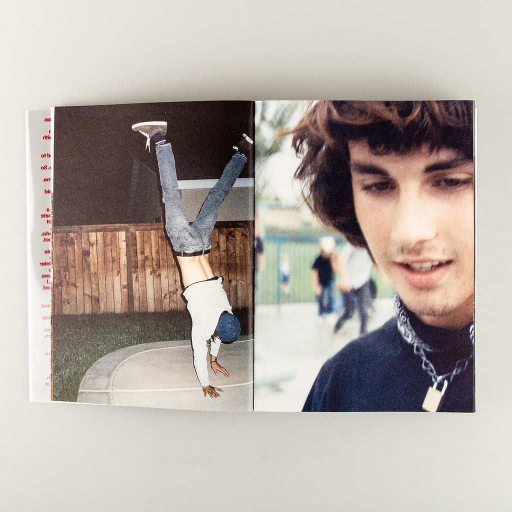 The Last Survivor is the First Suspect by Nick Haymes - Cover