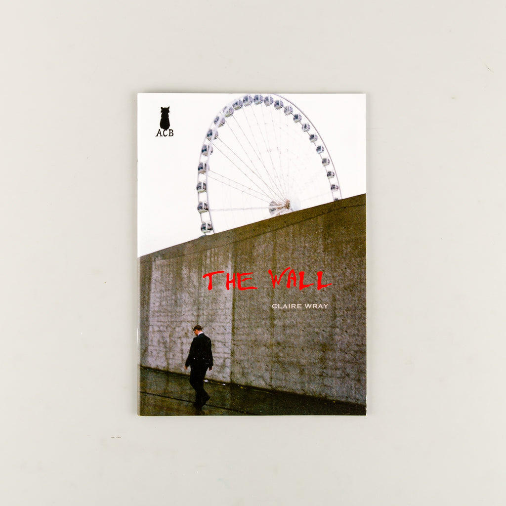 The Wall by Claire Wray - 12