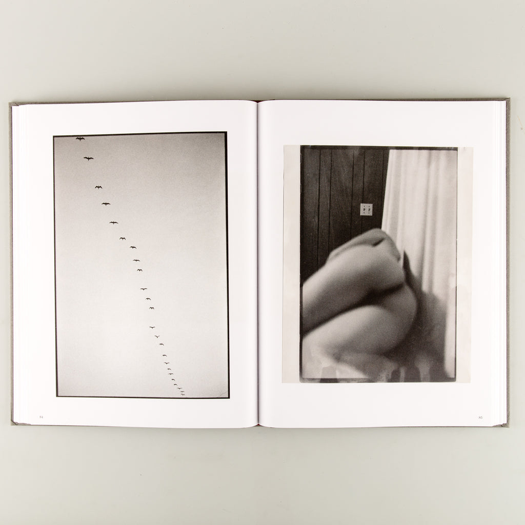 Wayward Cognitions by Ed Templeton - 5