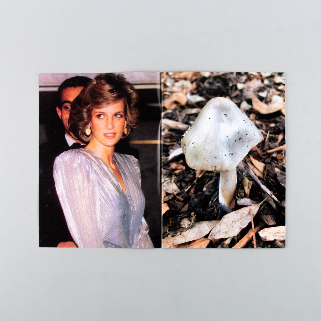 Princess Diana as Mushrooms Volume II by Lulu Williams - Cover