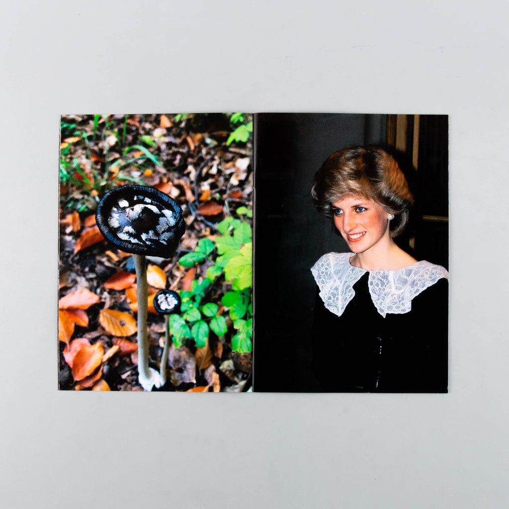 Princess Diana as Mushrooms Volume II by Lulu Williams - 4