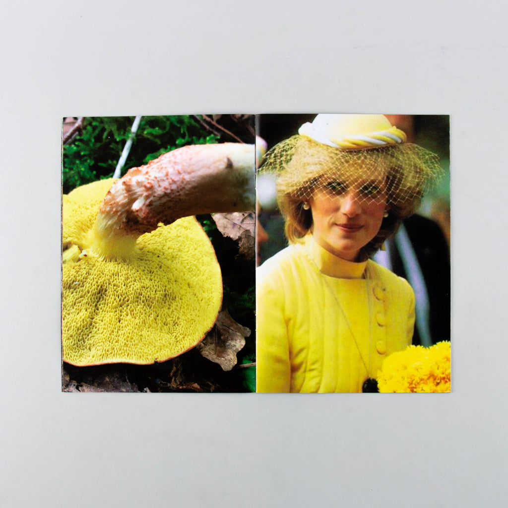 Princess Diana as Mushrooms Volume II by Lulu Williams - 5