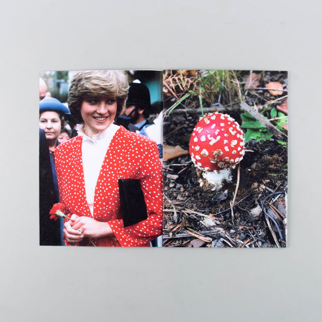 Princess Diana as Mushrooms Volume I by Lulu Williams - Cover