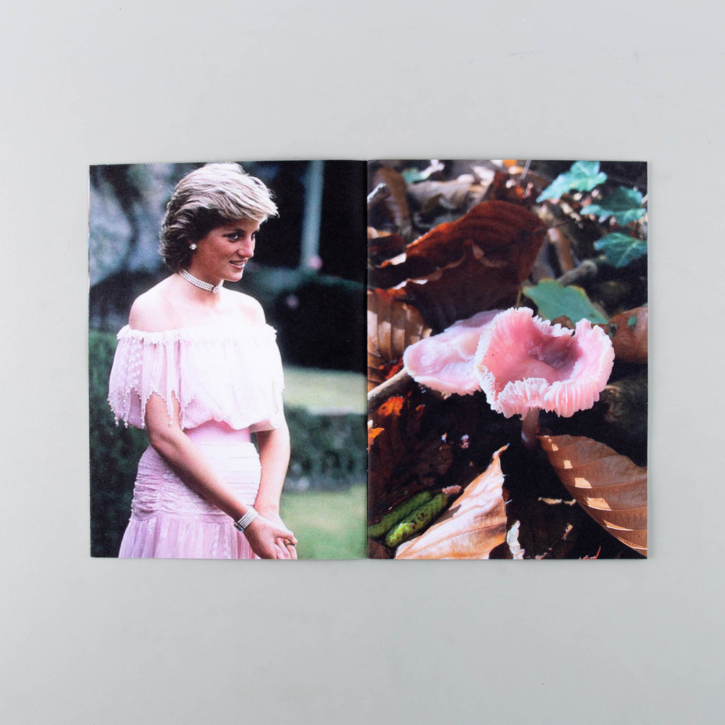 Princess Diana as Mushrooms Volume I by Lulu Williams - 3