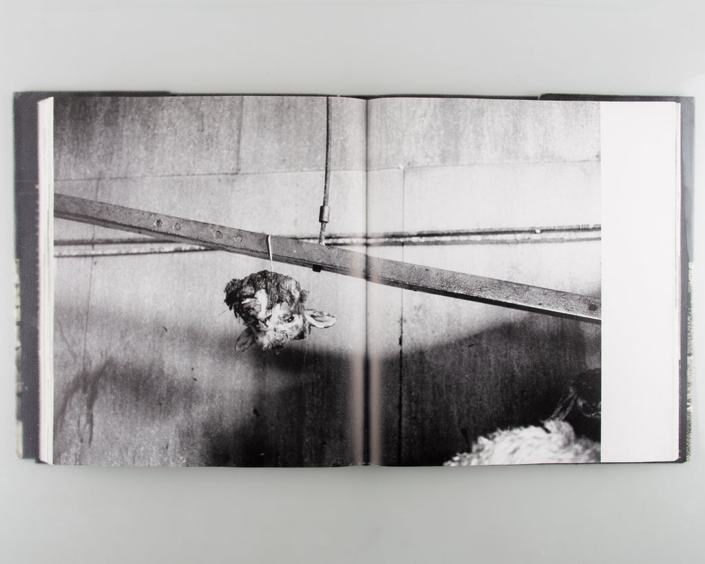 Allah O Akbar: A Journey Through Militant Islam by Abbas - Cover