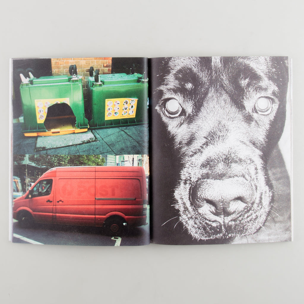 Animal in Heat by Jason Landis - Cover