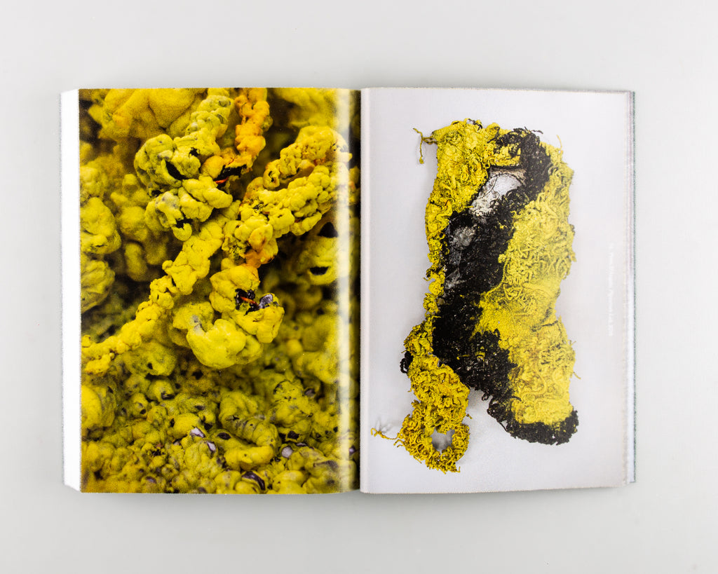Dirty Looks by Jon Astbury and Karen Van Godtsenhoven (eds) - 3