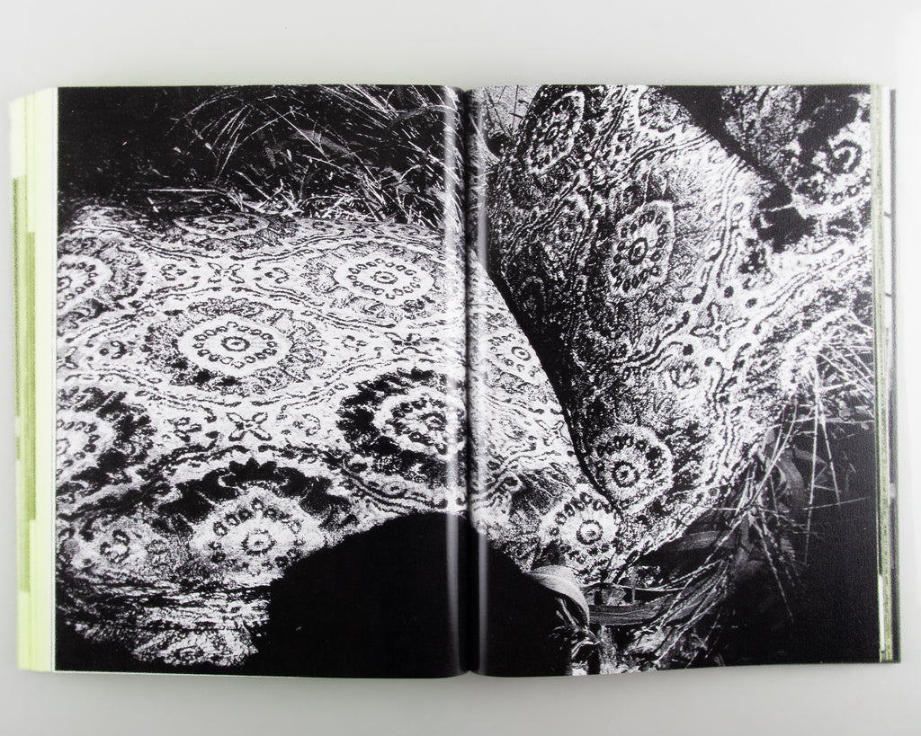 Moriyama: Quartet by Daido Moriyama & Mark Holborn - 4