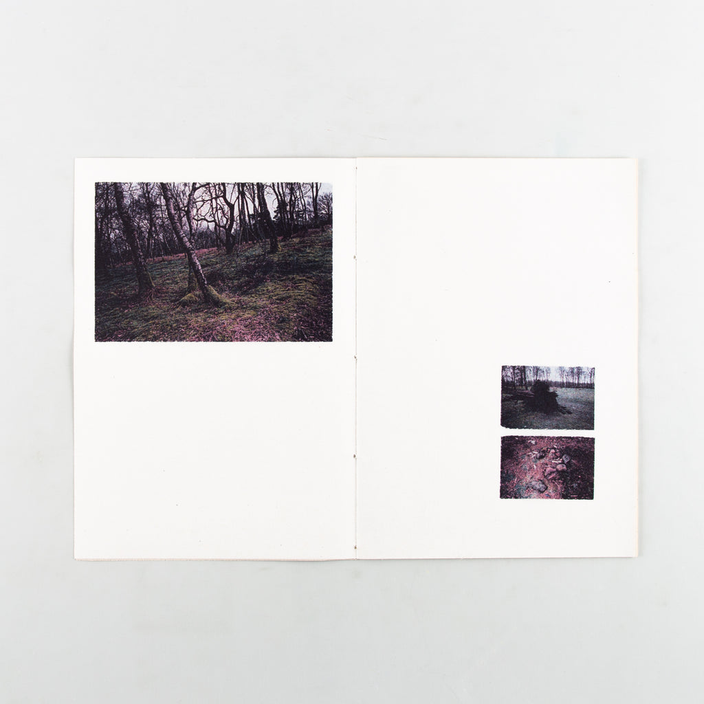 Field Work: Observations in Stillness - Cover