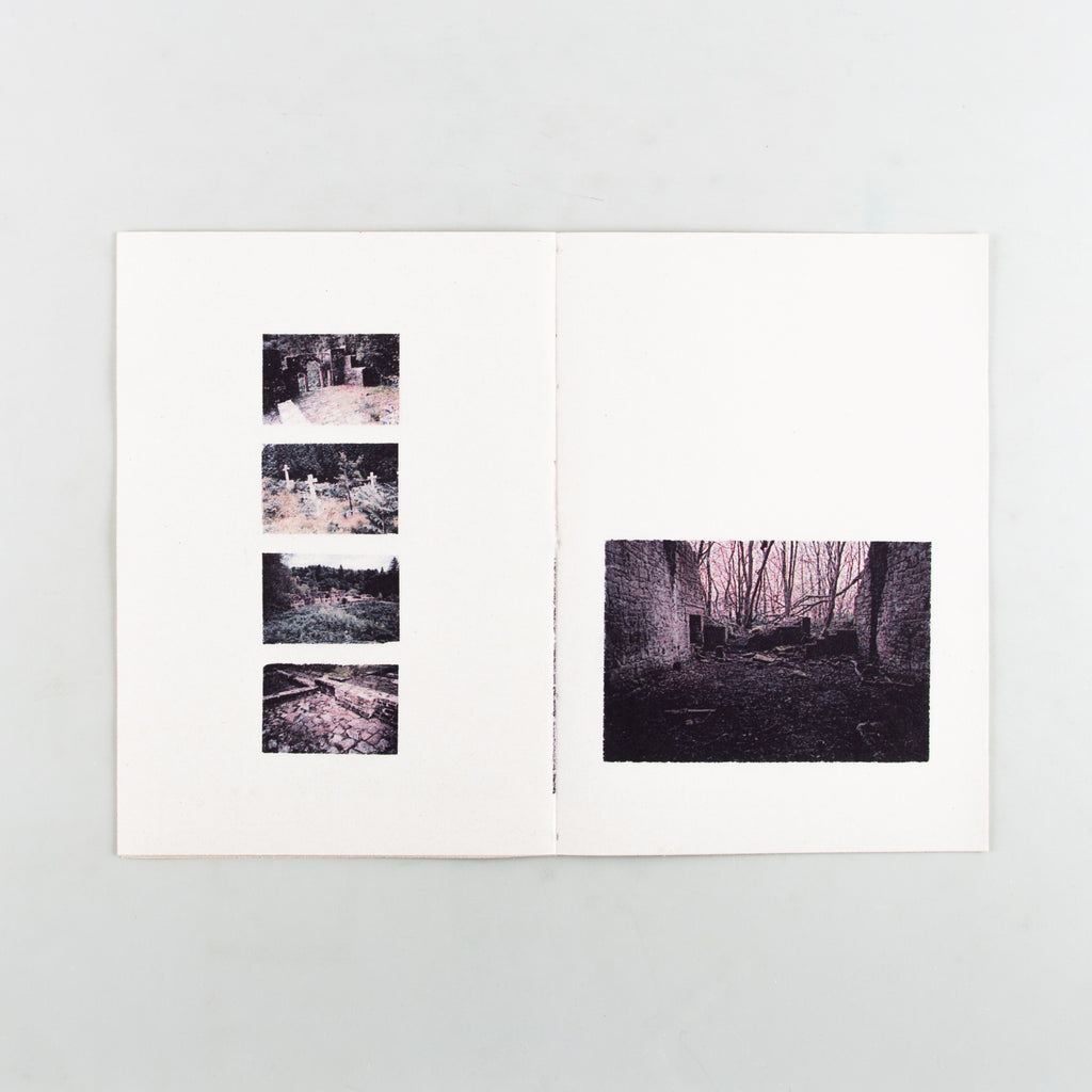 Field Work: Observations in Stillness - 4