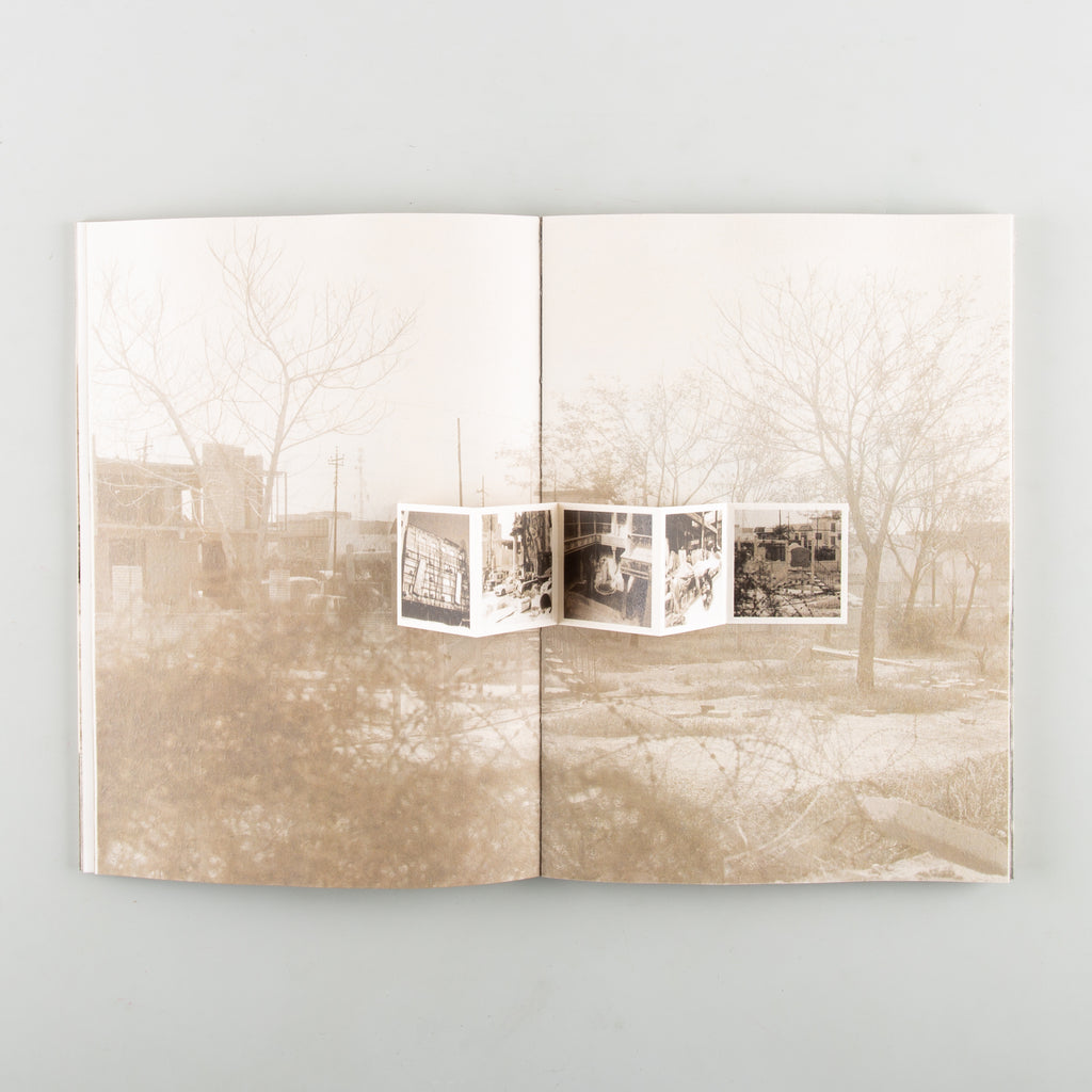 What I Saw, What Saw Me by Zoe Zhao - 6