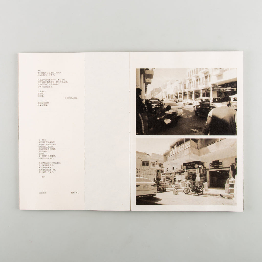 What I Saw, What Saw Me by Zoe Zhao - 5