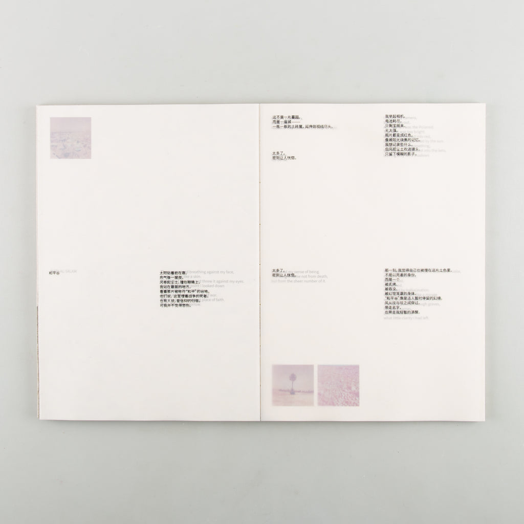 What I Saw, What Saw Me by Zoe Zhao - Cover