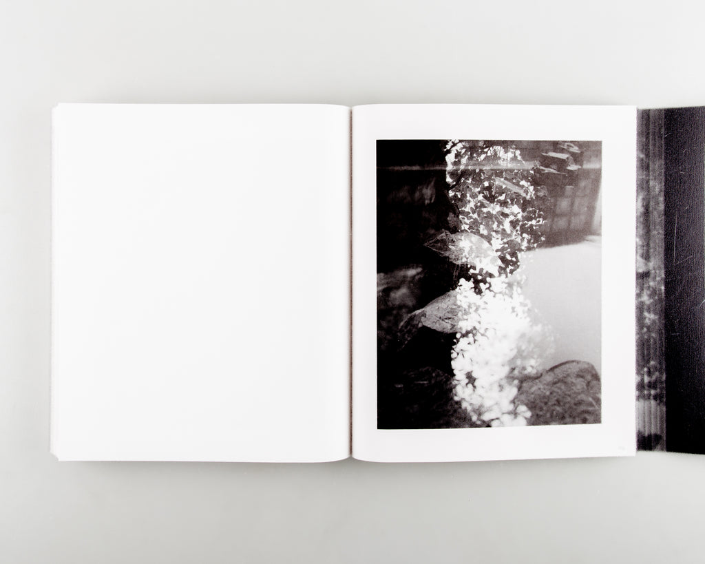 Faërie (不朽的林泉) by Zhou Yang - Cover