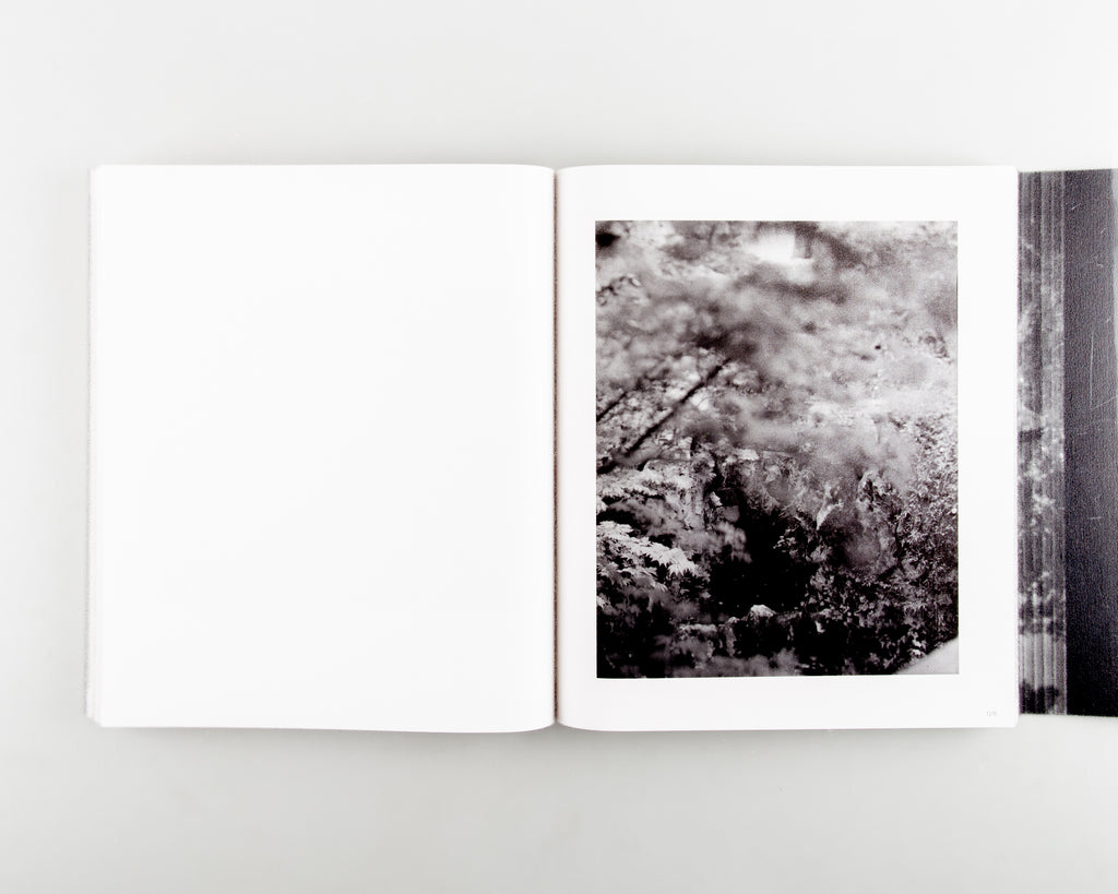 Faërie (不朽的林泉) by Zhou Yang - 4