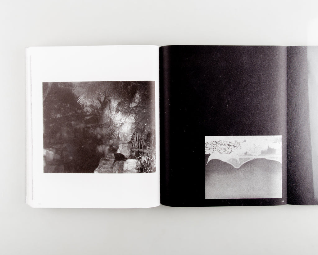 Faërie (不朽的林泉) by Zhou Yang - 3