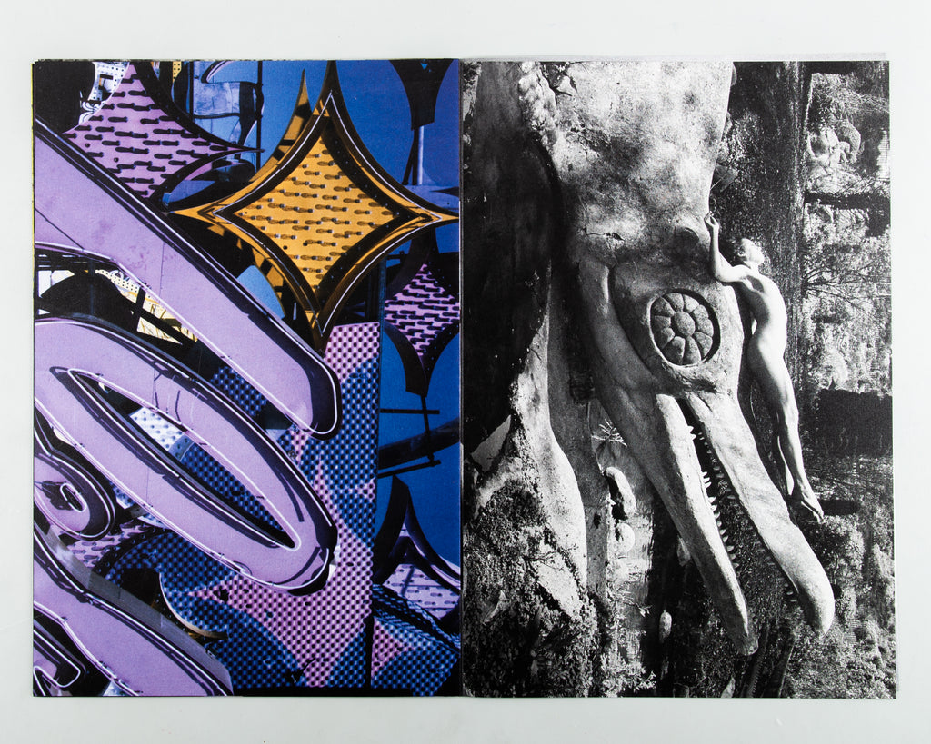 Veronesi Rose by Camille Vivier - 3