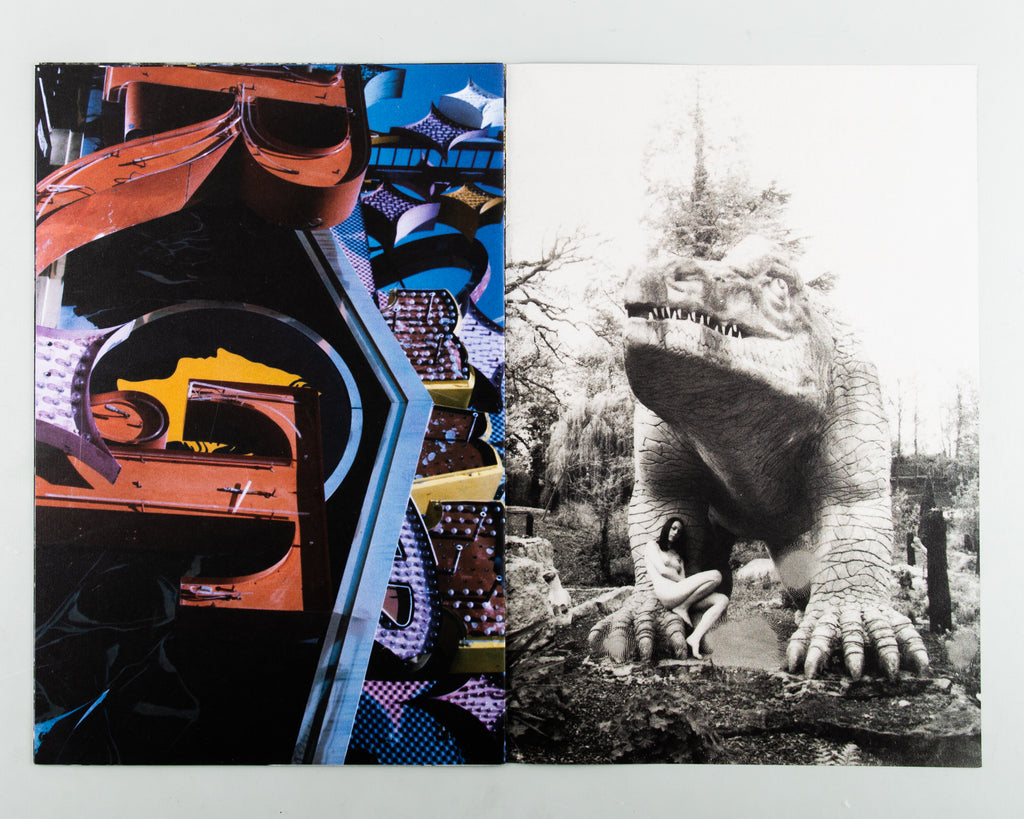 Veronesi Rose by Camille Vivier - Cover