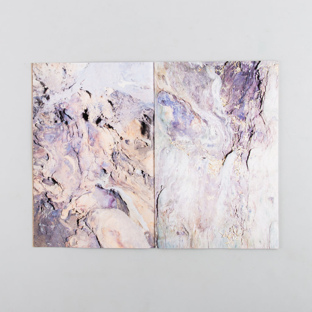 Yew by Harry Gammer-Flitcroft - 6