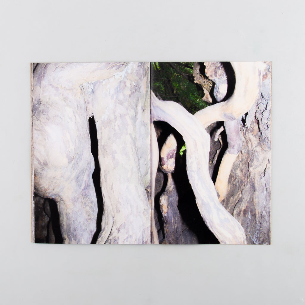 Yew by Harry Gammer-Flitcroft - 3