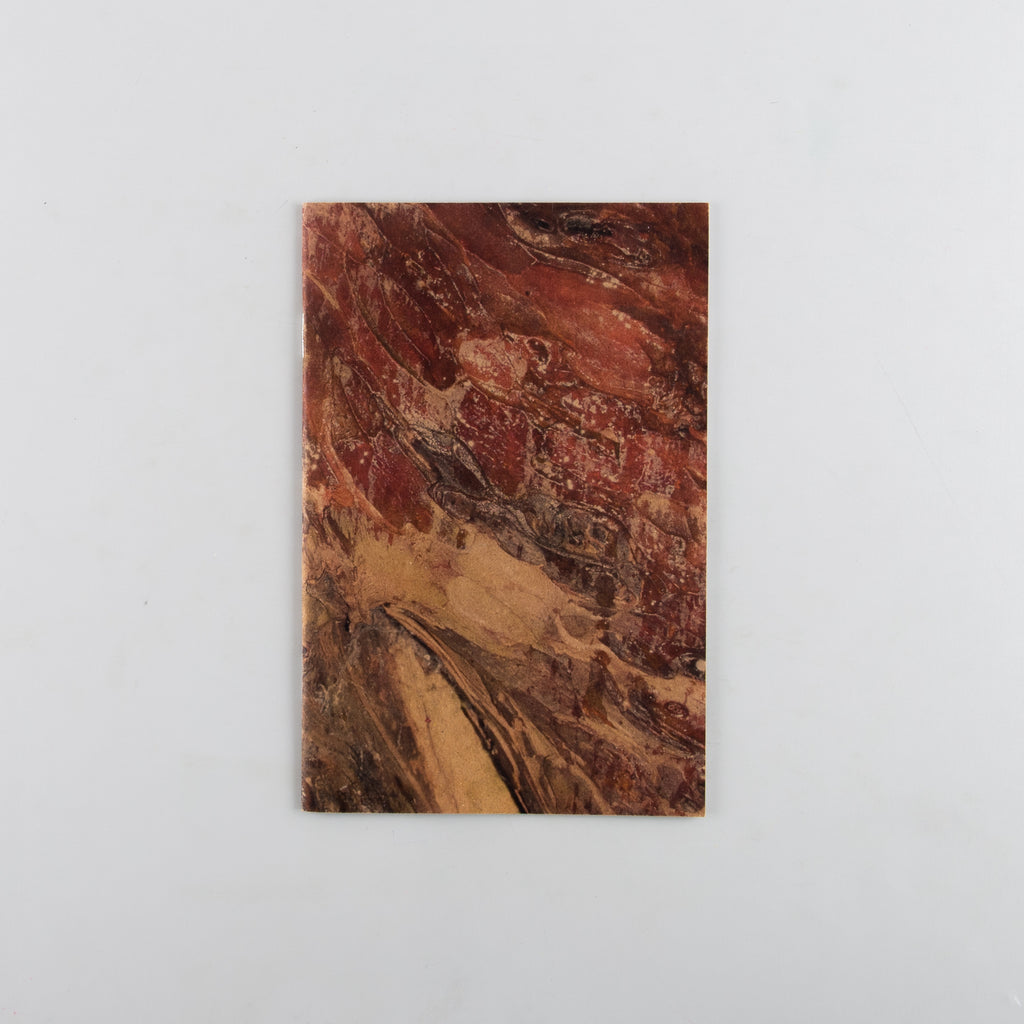 Yew by Harry Gammer-Flitcroft - 1