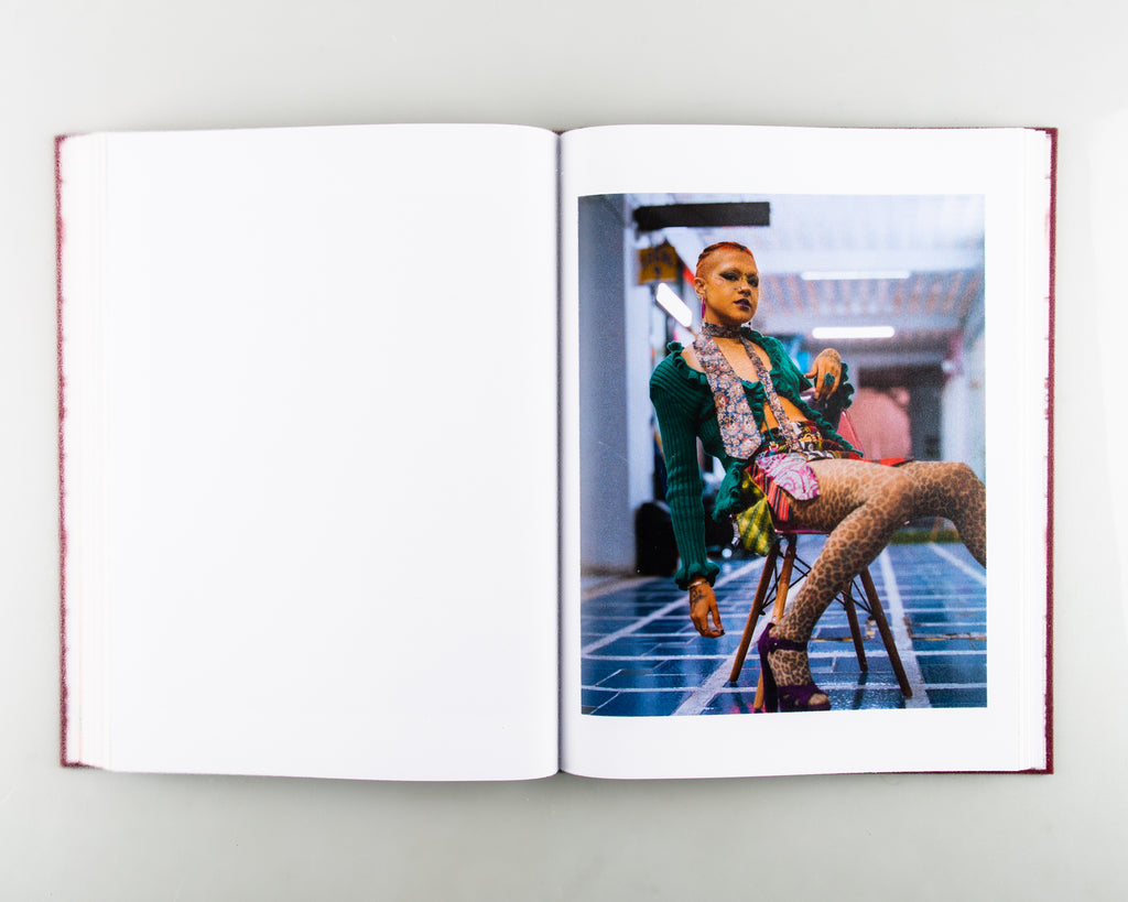 A Caged Dog Barks the Fiercest by Ryan O'Toole Collett - 4