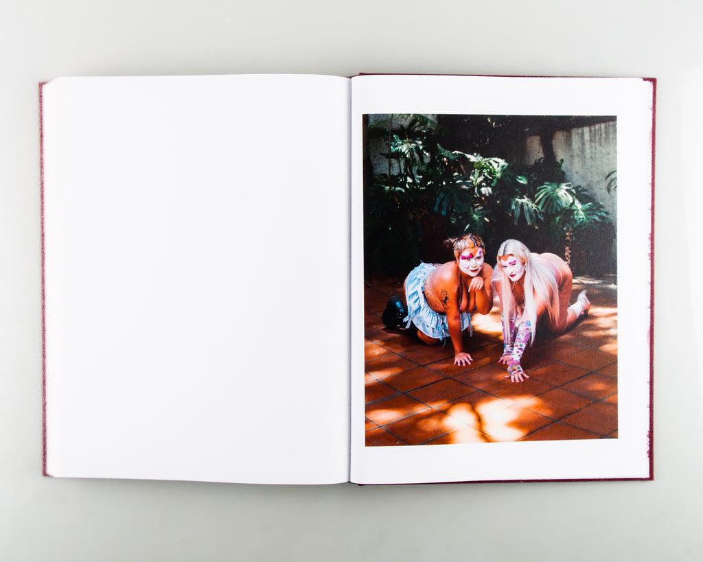 A Caged Dog Barks the Fiercest by Ryan O'Toole Collett - 3