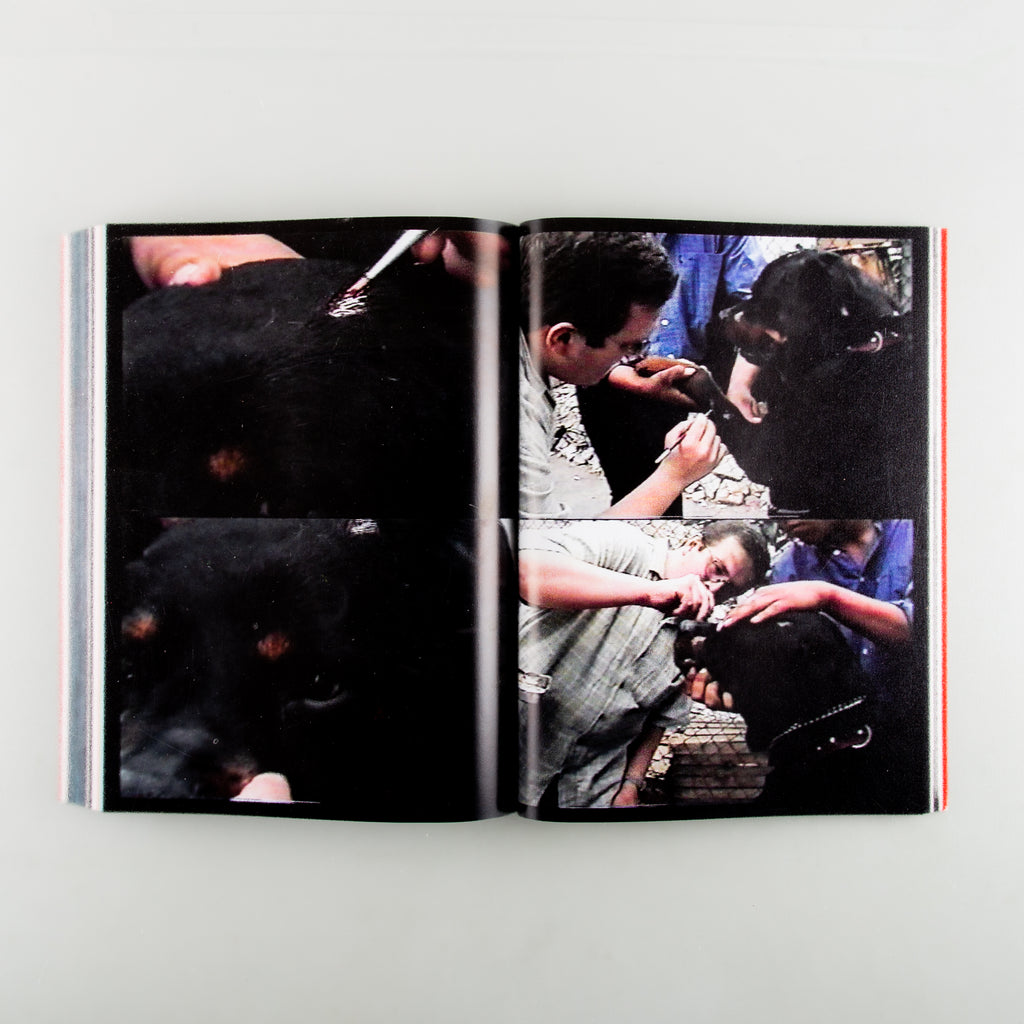 Amores Perros by Alejandro G. Iñárritu - 10