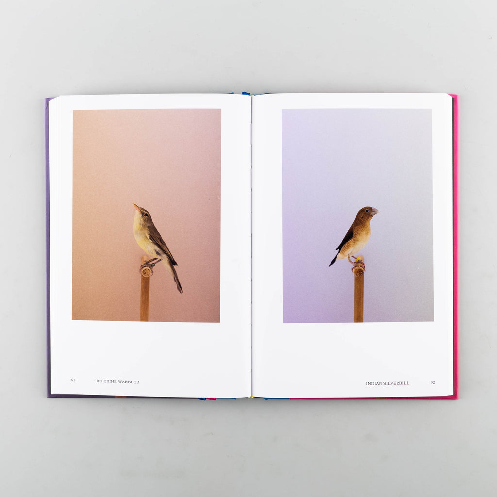 An Incomplete Dictionary of Show Birds Vol. 2 by Luke Stephenson - 6