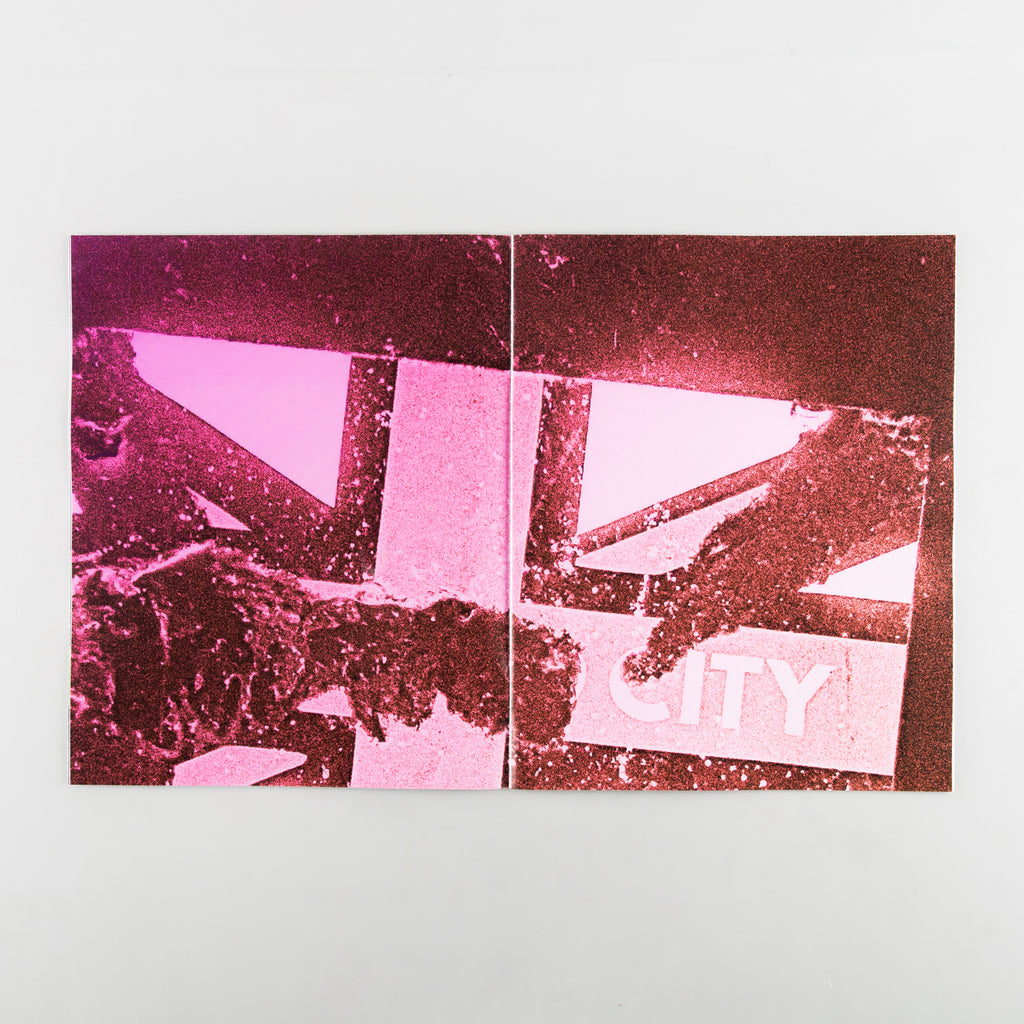 Why us, Why Now? by Anson Johnston - Cover