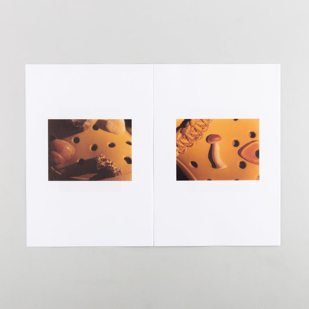 ARIES, CROCS, COLIN by Colin Dodgson - 3