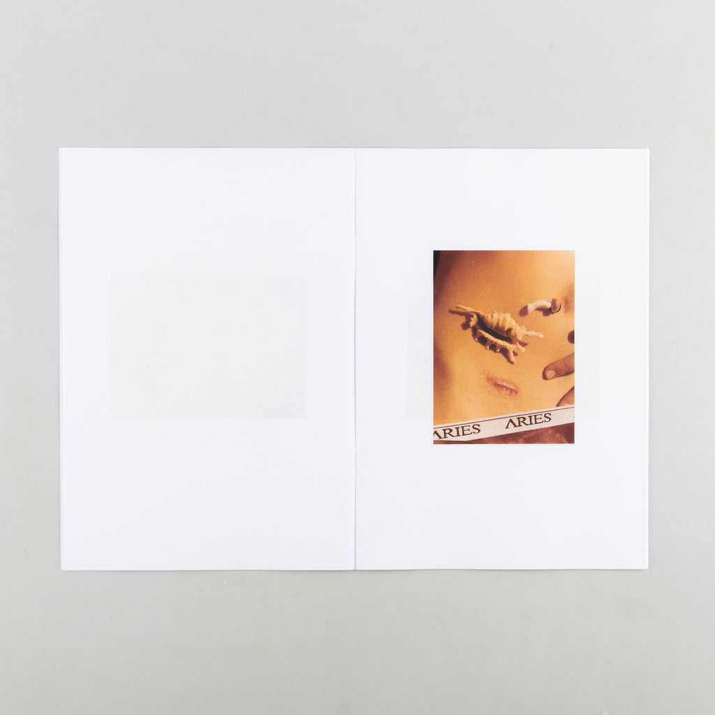 ARIES, CROCS, COLIN by Colin Dodgson - 4