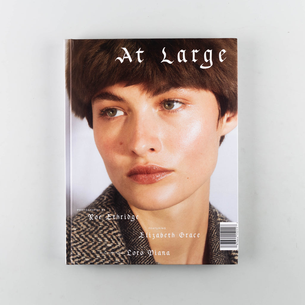 At Large Magazine 20 - 1
