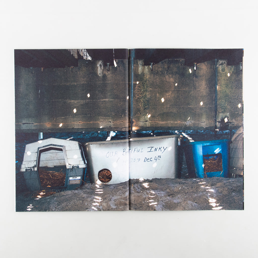 Backyard Diaries Vol.3 (Signed) by Nikita Teryoshin - 4