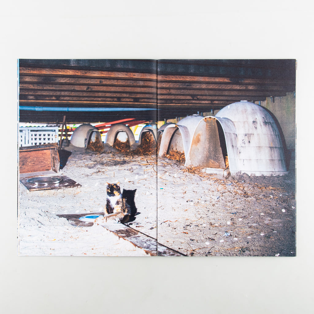 Backyard Diaries Vol.3 (Signed) by Nikita Teryoshin - 7