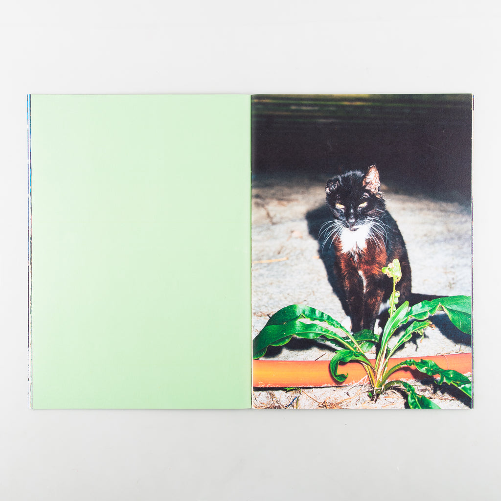 Backyard Diaries Vol.3 (Signed) by Nikita Teryoshin - 3