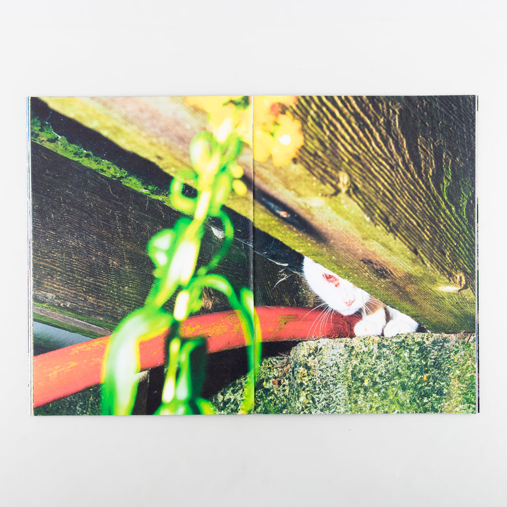 Backyard Diaries Vol.3 (Signed) by Nikita Teryoshin - Cover