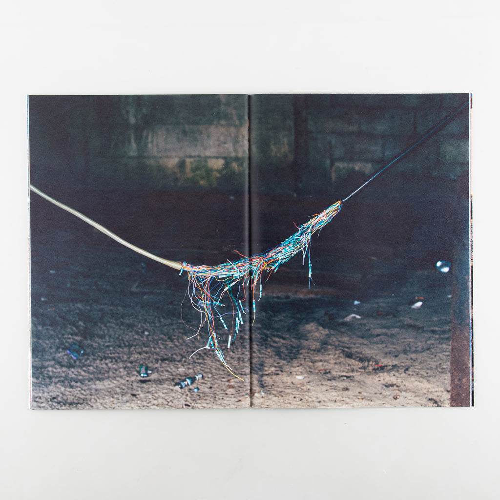 Backyard Diaries Vol.3 (Signed) by Nikita Teryoshin - 6