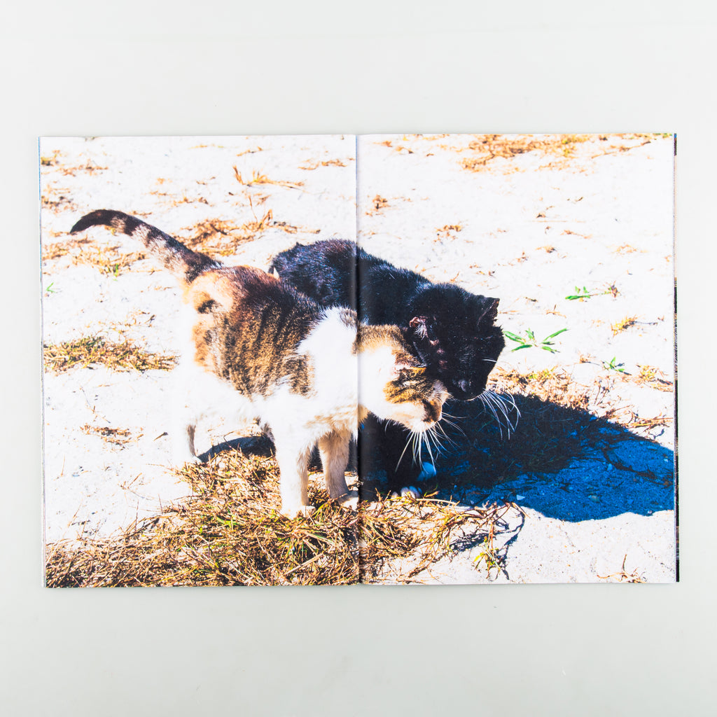 Backyard Diaries Vol.3 (Signed) by Nikita Teryoshin - 5