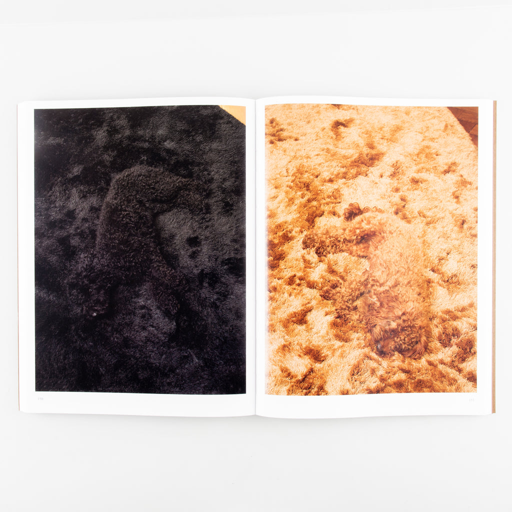 More by Blommers and Schumm - 3