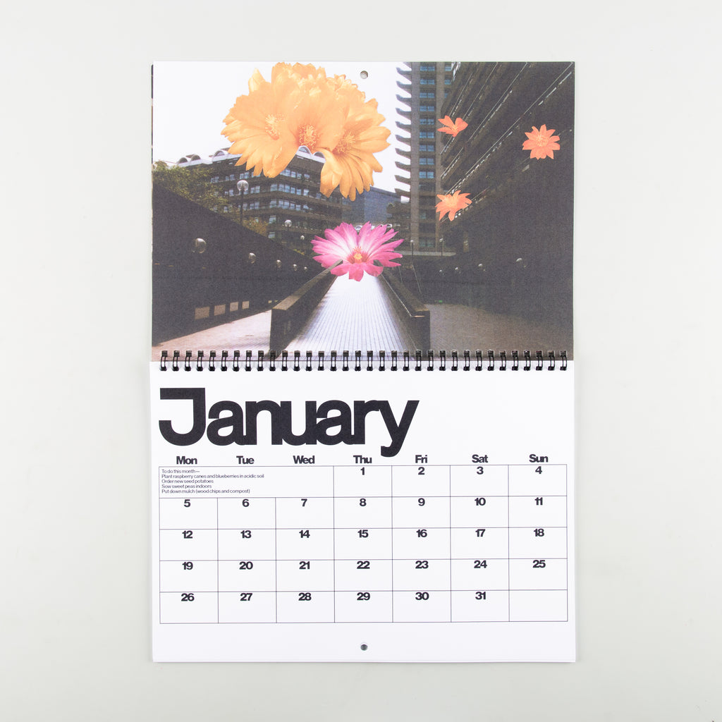 Brutalist Botany 2026 Calendar by DR.ME - 5