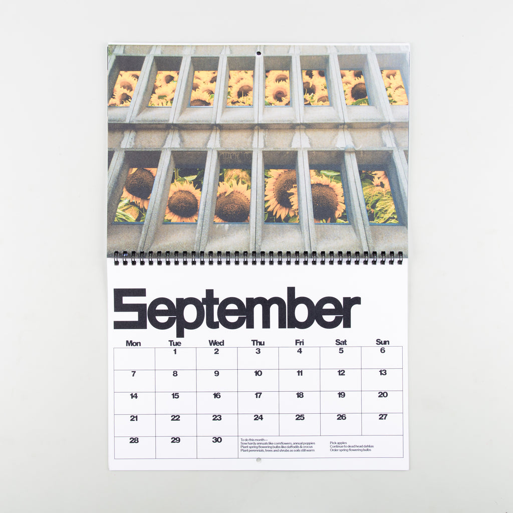 Brutalist Botany 2026 Calendar by DR.ME - 3