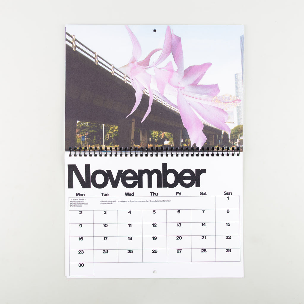 Brutalist Botany 2026 Calendar by DR.ME - 4