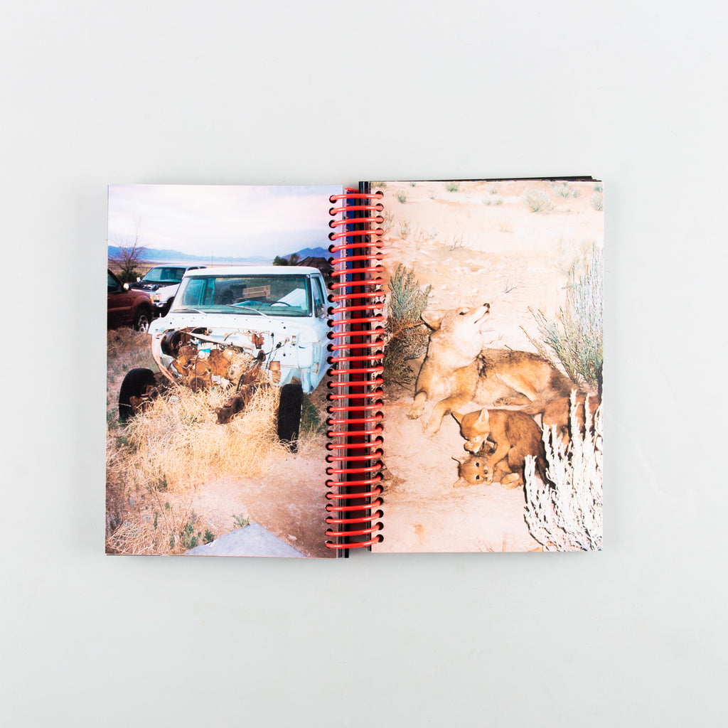 Desert Grill Dollar Tree Fossils Trap by Louise Mutrel - 4