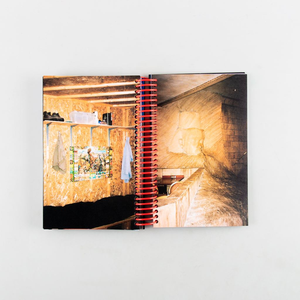 Desert Grill Dollar Tree Fossils Trap by Louise Mutrel - 11