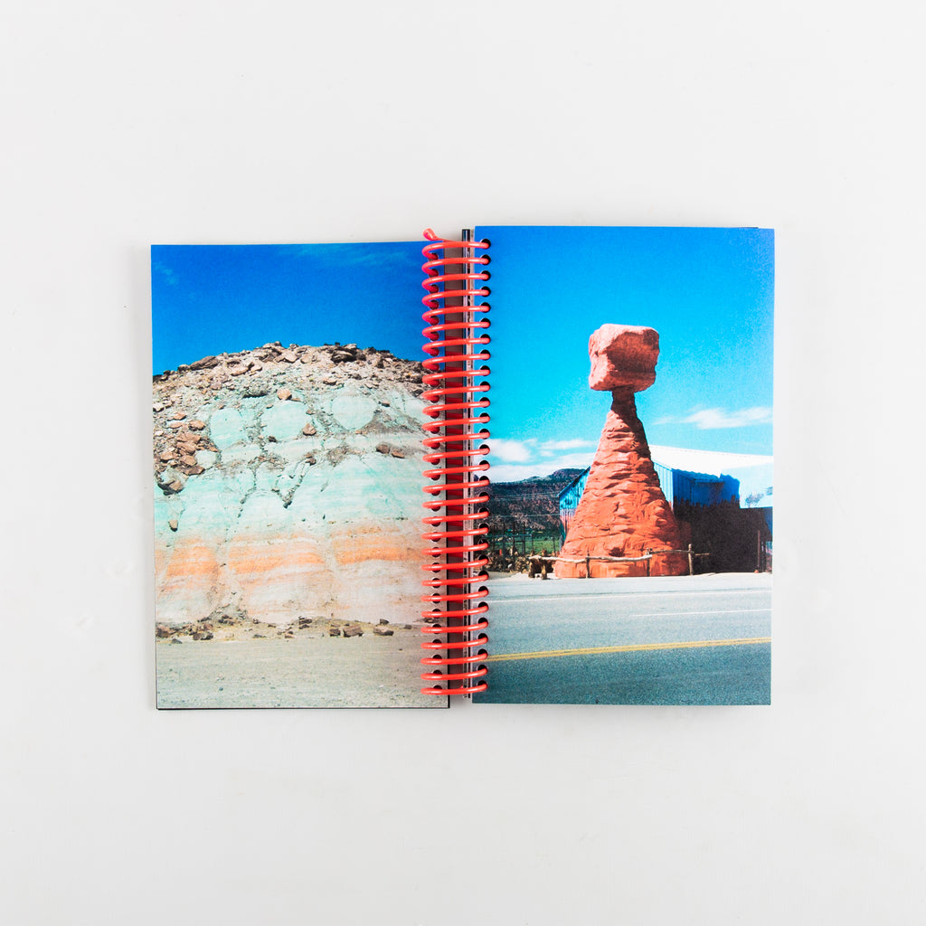 Desert Grill Dollar Tree Fossils Trap by Louise Mutrel - Cover